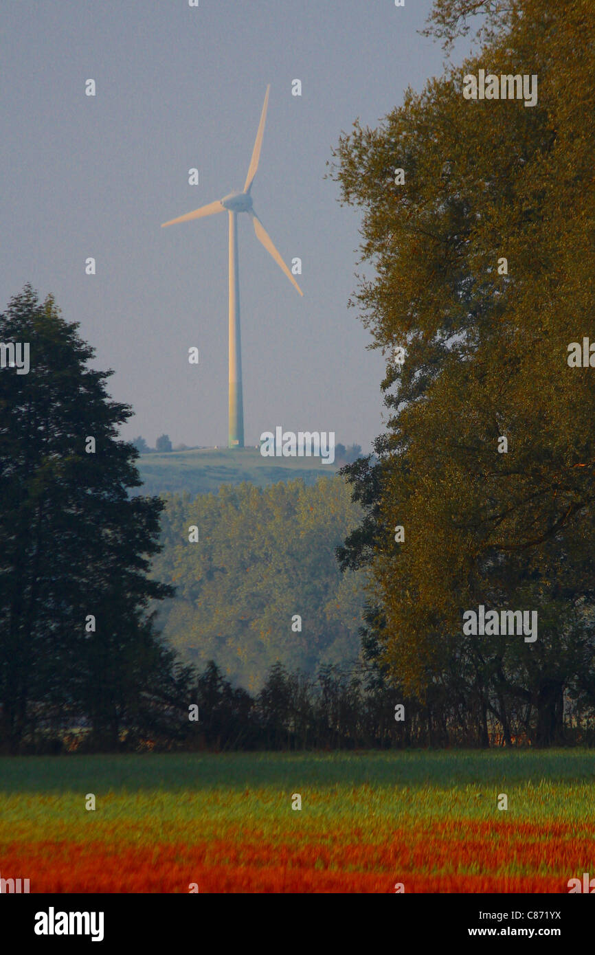 Ein Wind-Turbineon einem Litte Hügel zwischen Bäumen, grünen Energie darstellt Stockfoto
