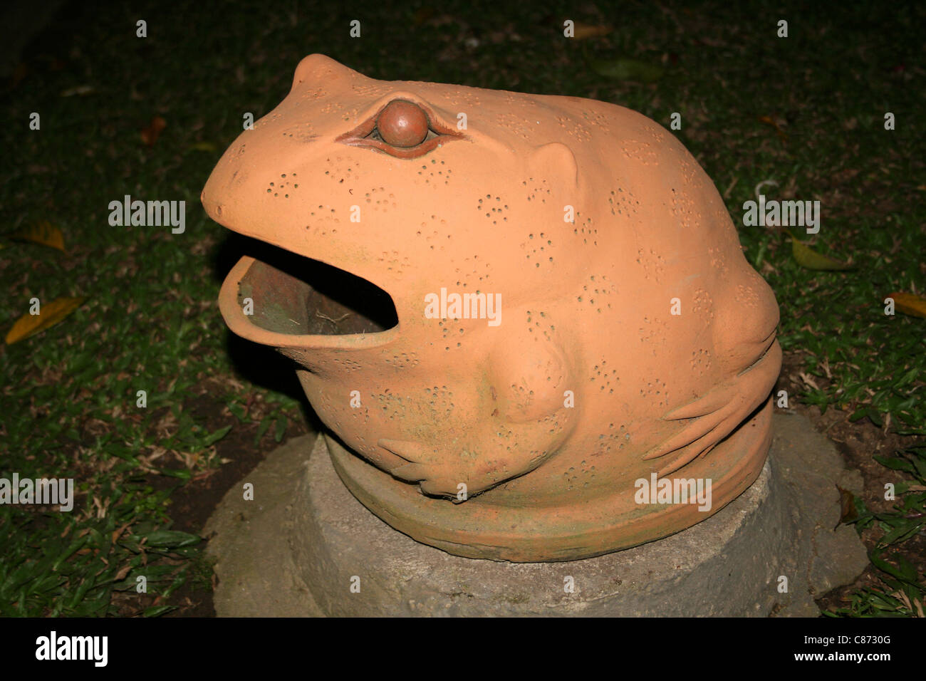 Frosch garten nacht -Fotos und -Bildmaterial in hoher Auflösung – Alamy