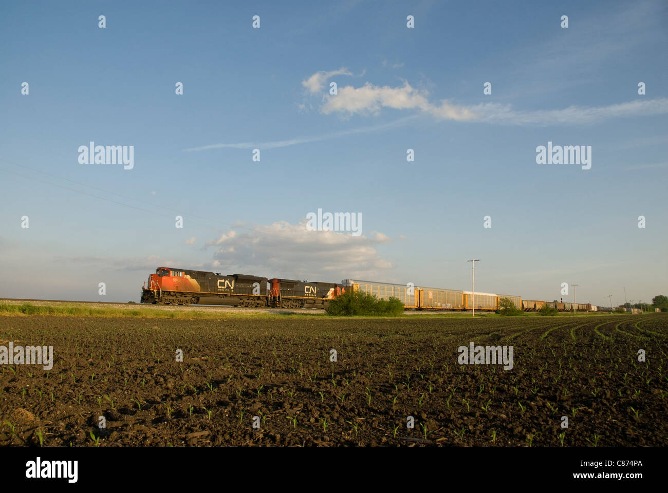 Güterzug auf Grasland, in der Nähe von Champaign-Urbana, Illinois, USA Stockfoto