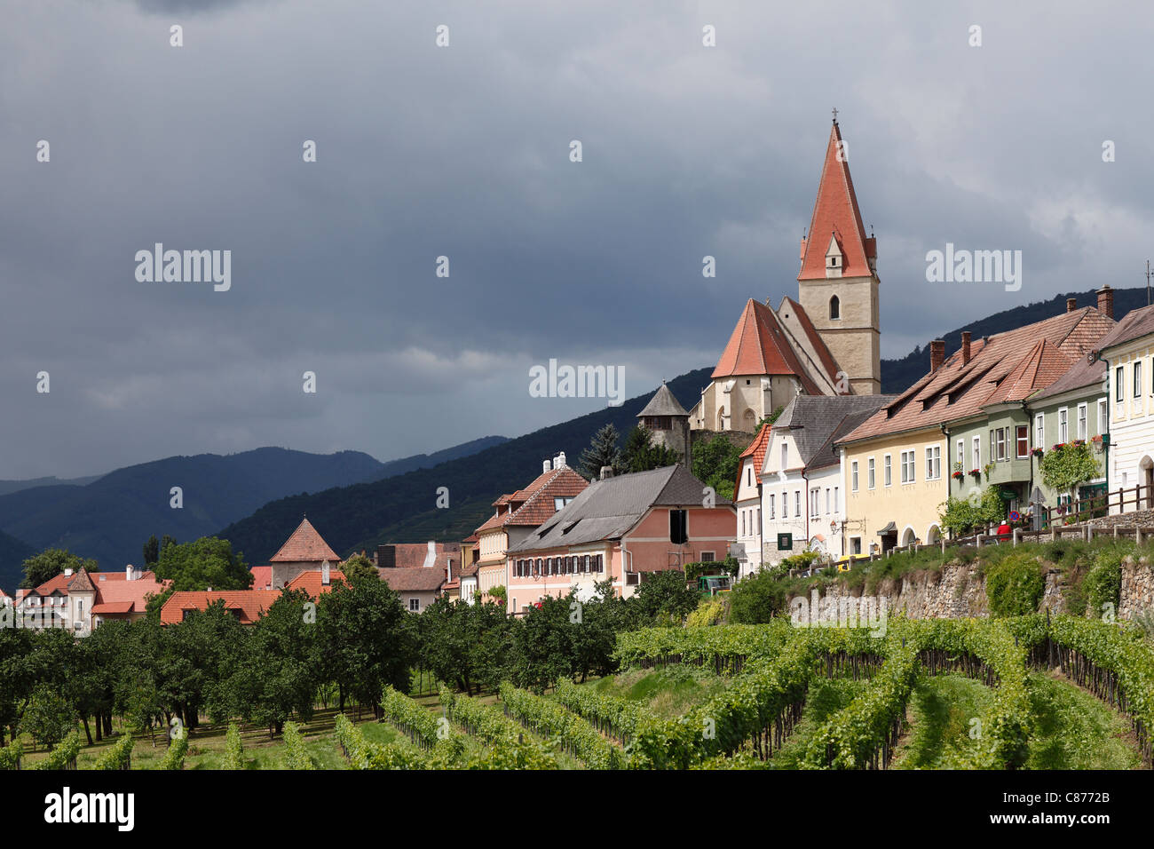 Österreich, Niederösterreich, Wachau, Weissenkirchen in der Wachau, Anzeigen der Stadt mit Weinberg im Vordergrund Stockfoto