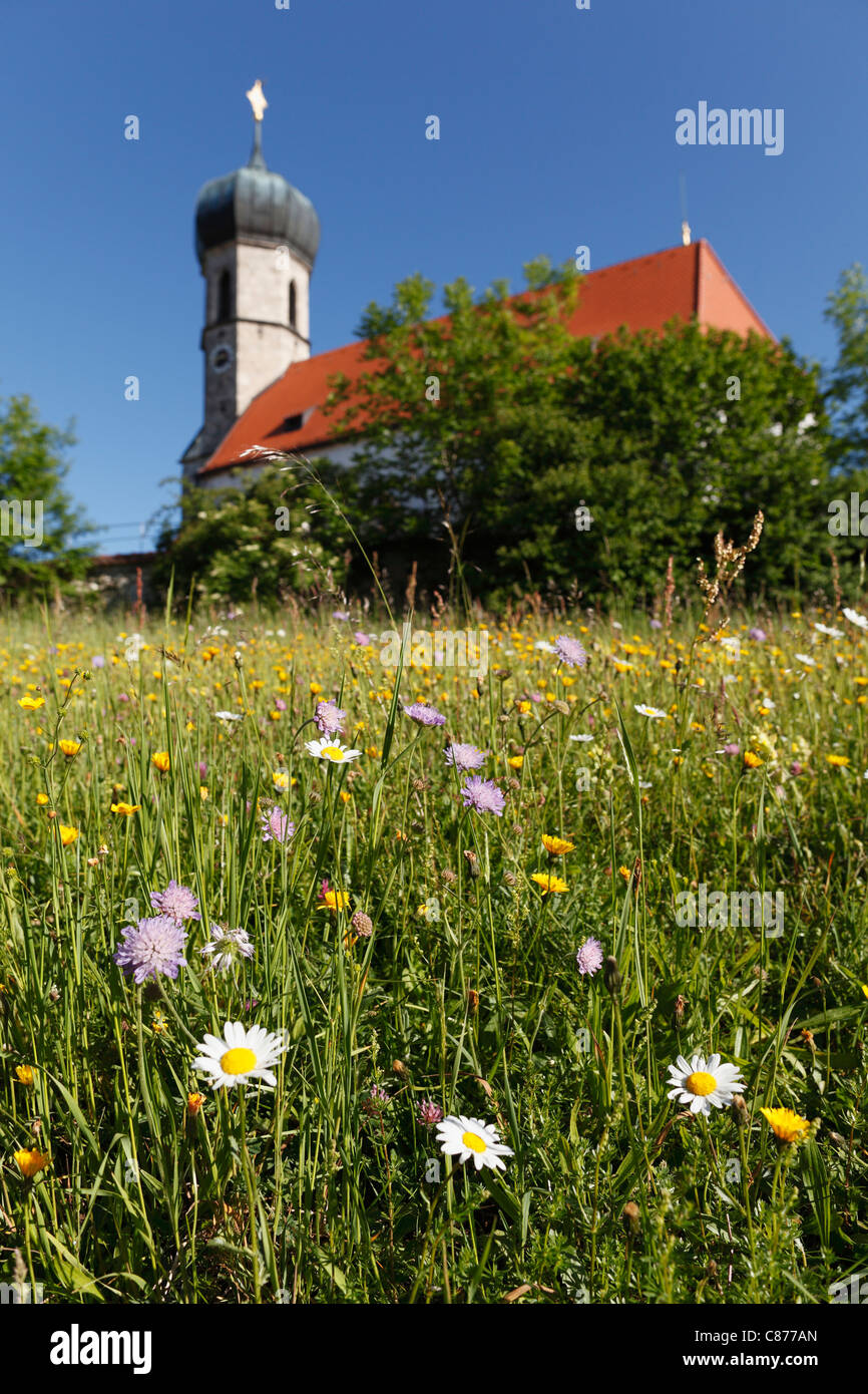 Deutschland, Bayern, Oberbayern, Dietramszell, Lochen, Ansicht von St. Magdalena Kirche mit Blumenwiese im Vordergrund Stockfoto
