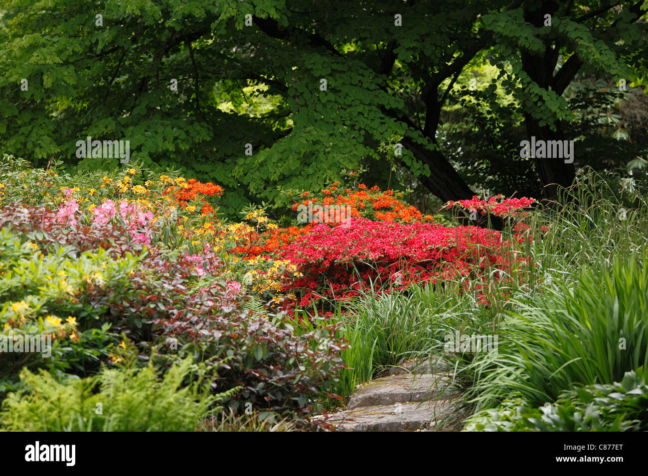 Newtownards, Ansicht des Mount Stewart Gärten, County Down, Nordirland, Vereinigtes Königreich Stockfoto