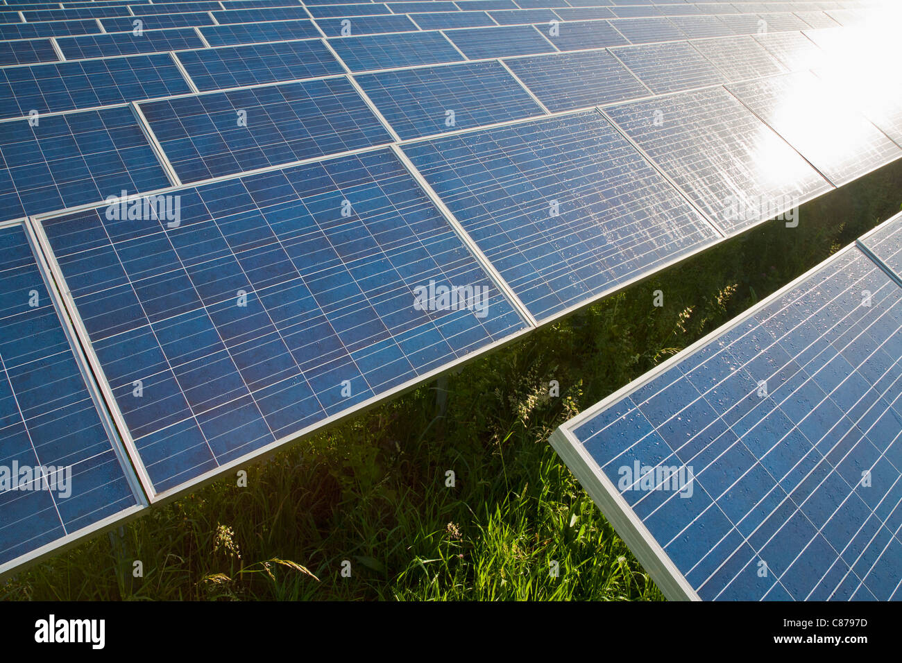 Deutschland, Baden-Wurttemberg, Winnenden, Blick auf große Anzahl von Solarmodulen auf solar-Kraftwerk Stockfoto