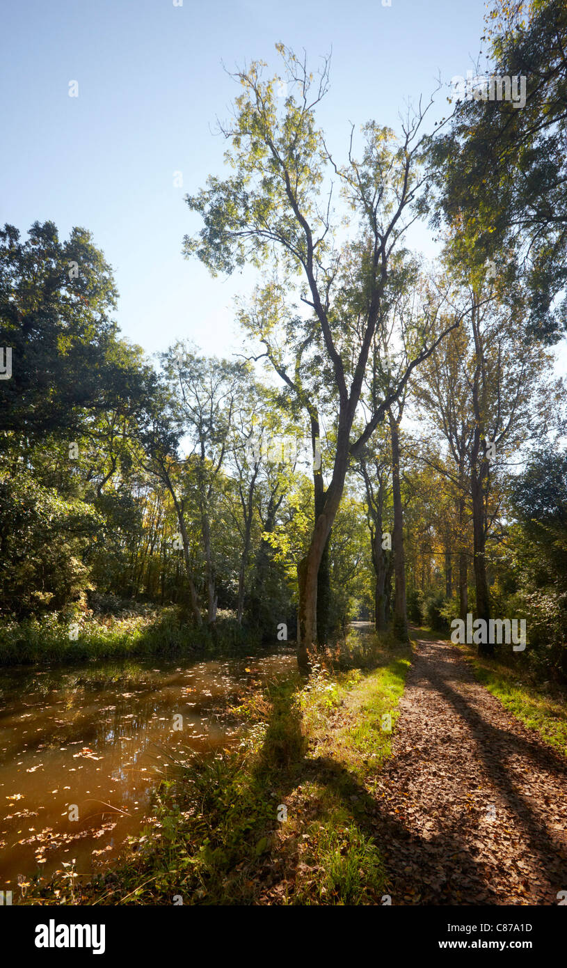 Maultierweg durch den Wey & Arun-Kanal in der Nähe von Loxwood, Sussex, England. Stockfoto