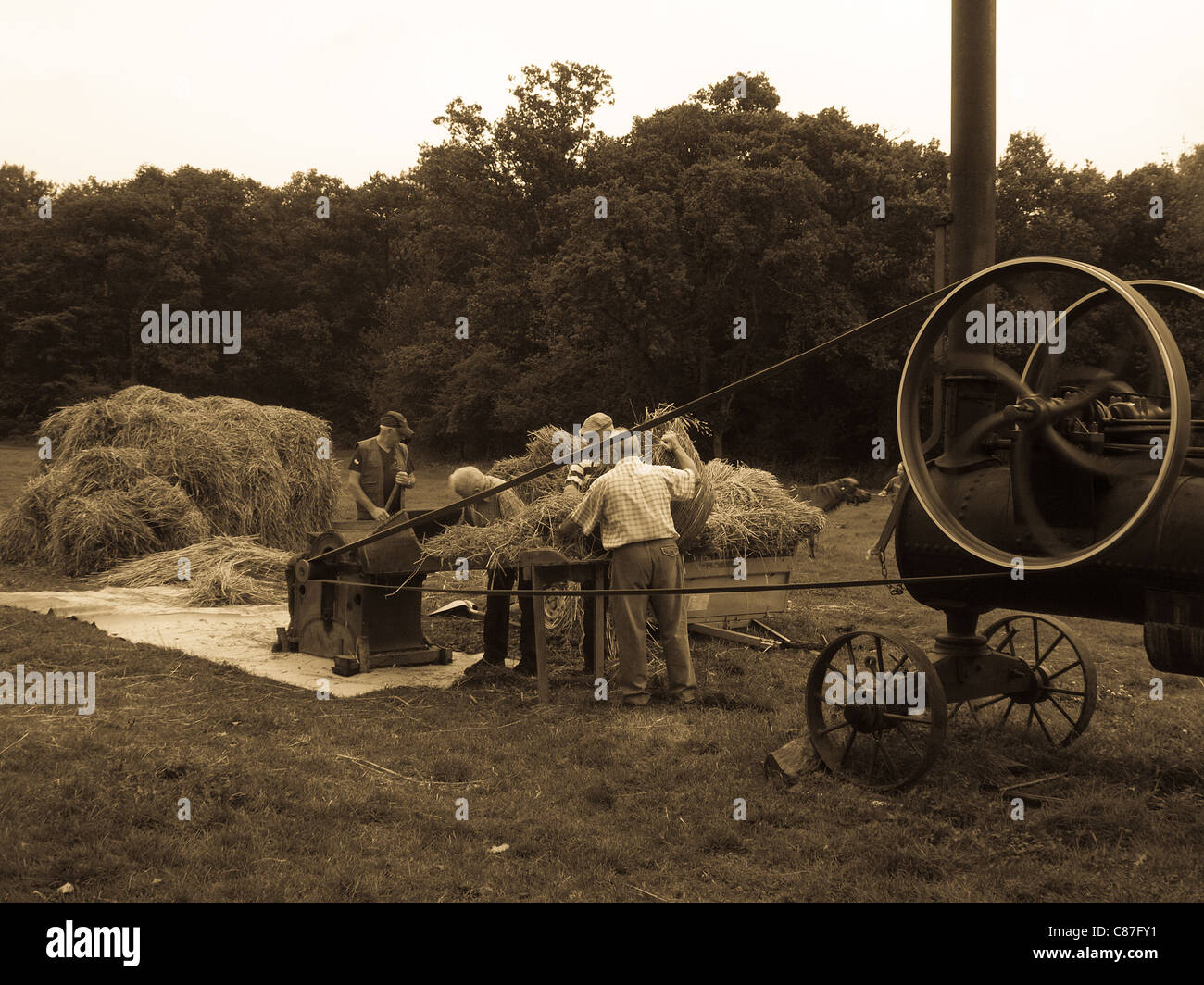 Antike Dampf betriebene Dreschmaschine Landwirtschaft. Bretagne (Bretagne), Frankreich. Stockfoto
