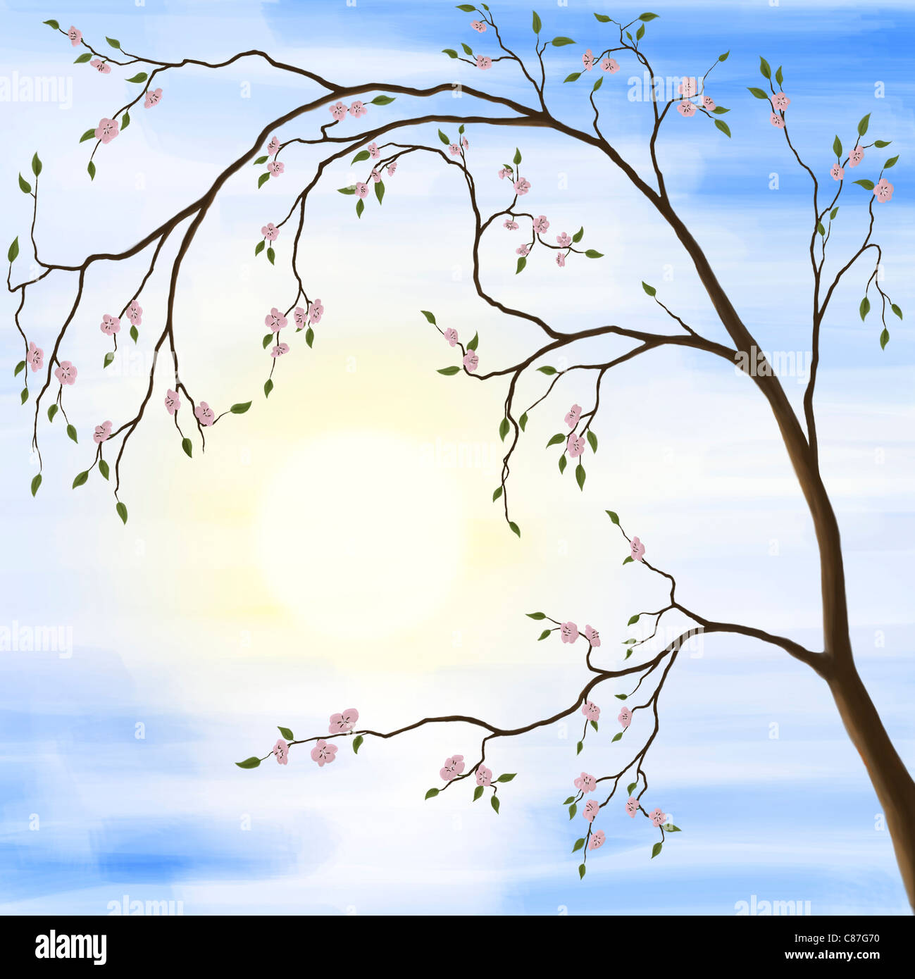 Illustration des Sakura Kirsche Blüte im Frühjahr Sonnenaufgang Landschaft gegen die Sonne Stockfoto