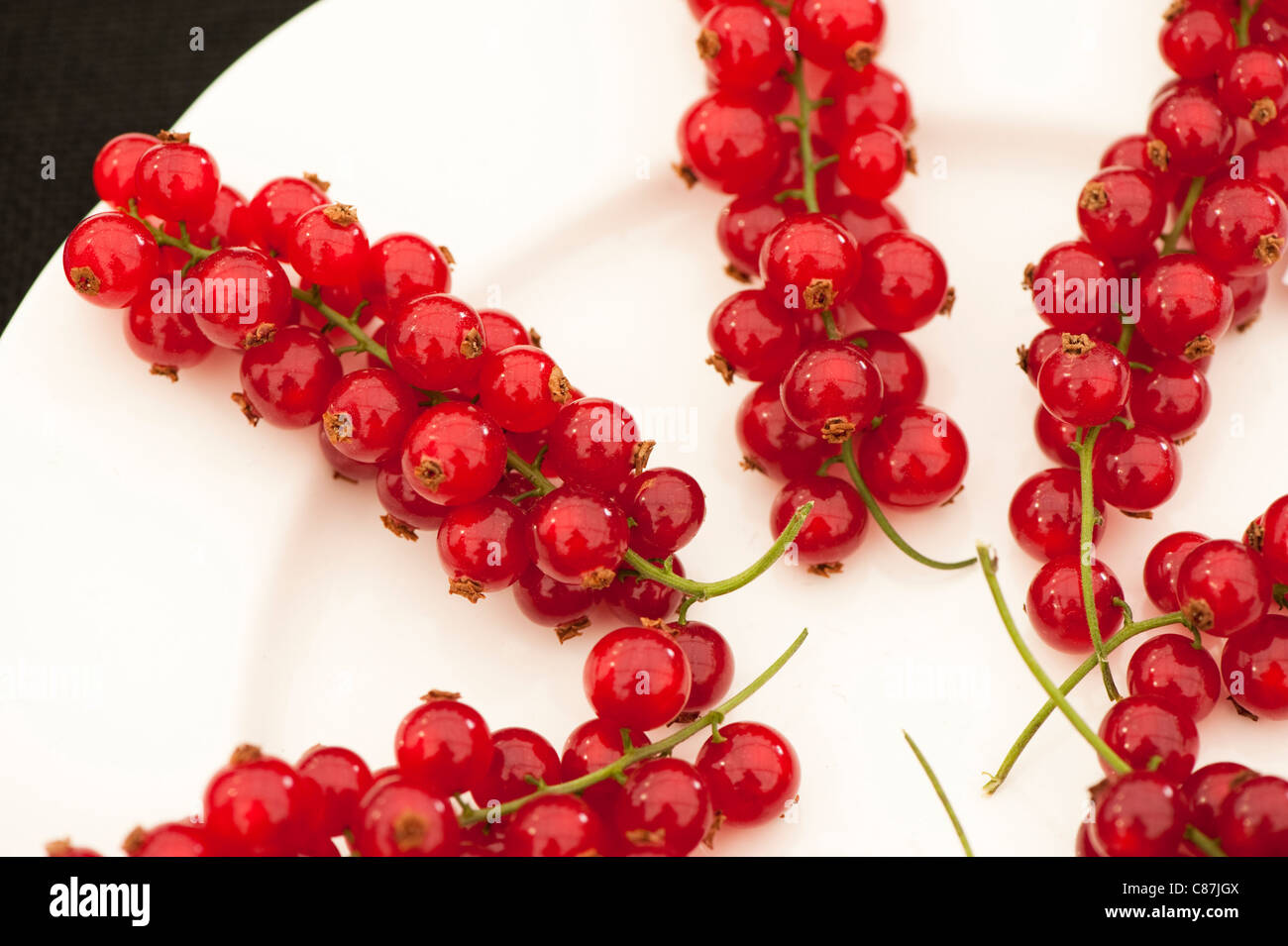 Johannisbeeren, Ribes Rubrum 'Redpoll' auf dem Display im Sommer Obst Wettbewerb 2011 RHS Flower Show Tatton Park Stockfoto