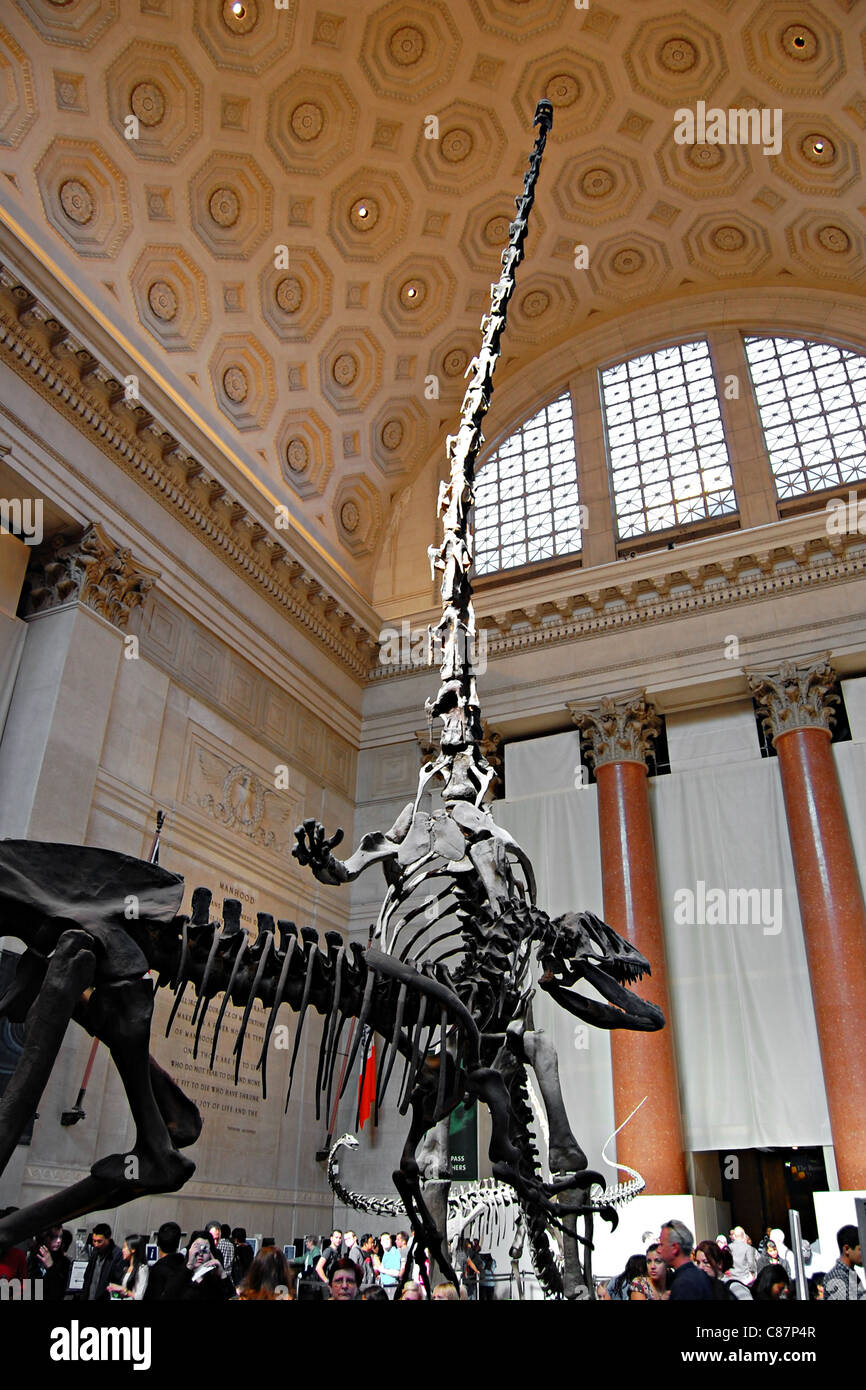 American Museum of Natural History, New York City Stockfoto