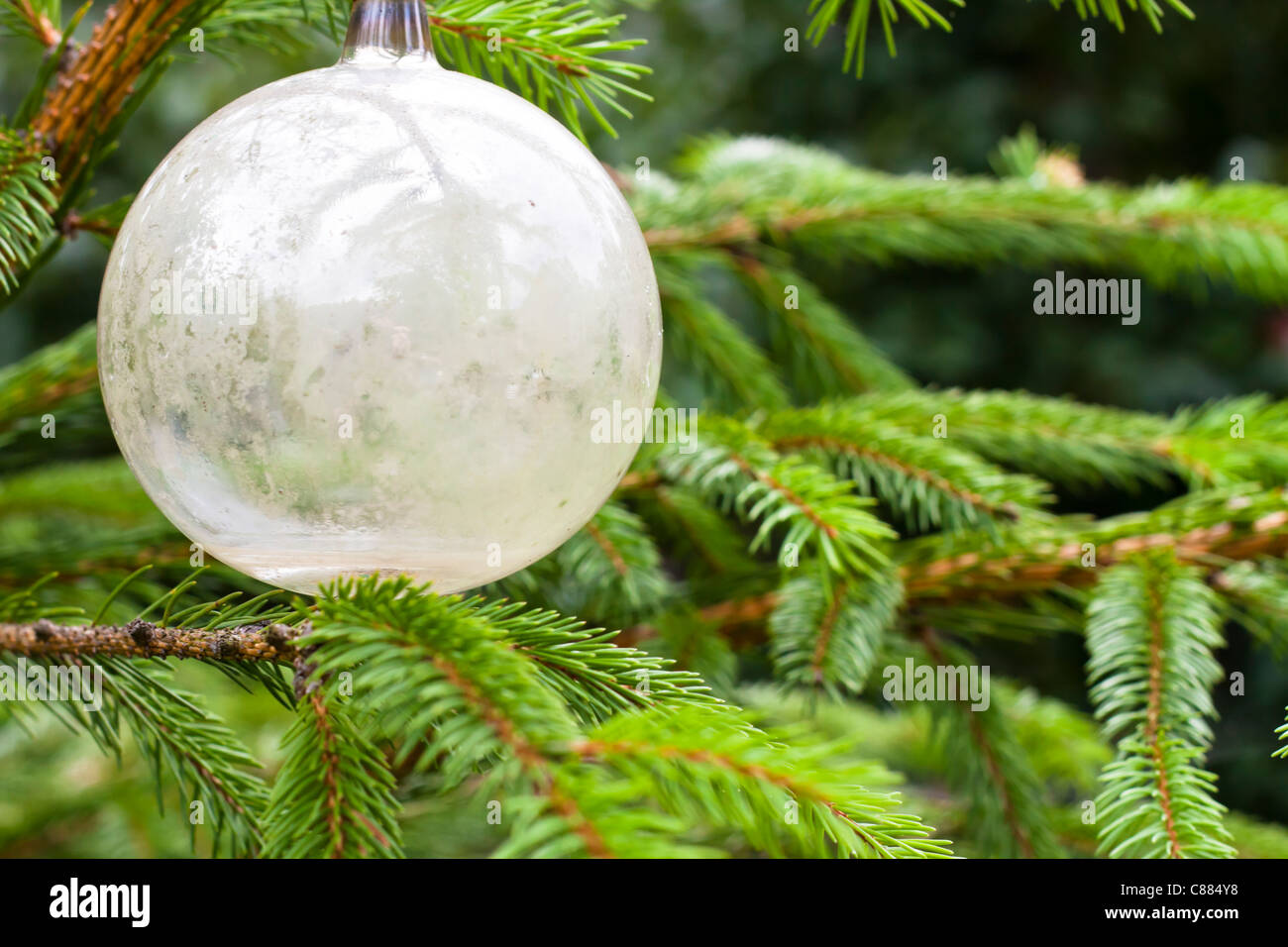 Detail der weißen Kugel und grün echte natürliche Weihnachten Weihnachtsbaum. Stockfoto