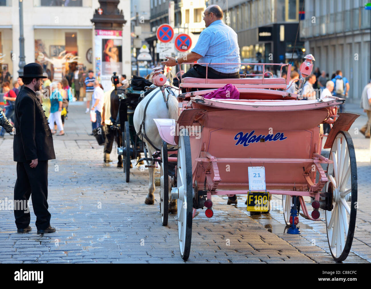 Detail der Horse-drawn Wagen am Stephansplatz, Wien, Österreich AT Stockfoto