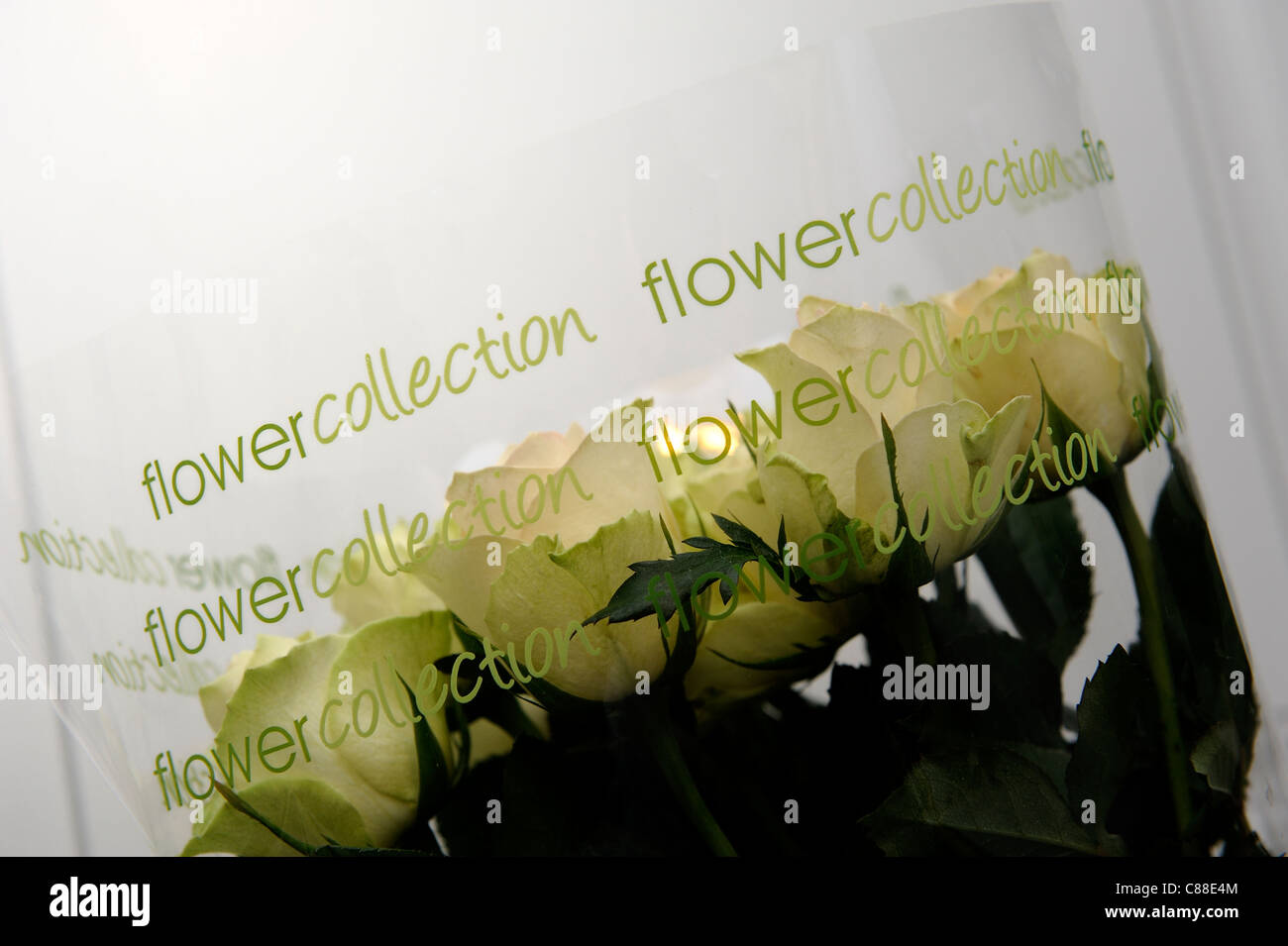 BLUMENSTRAUß-SAMMLUNG DER GELBEN ROSEN ENGLAND UK Stockfoto