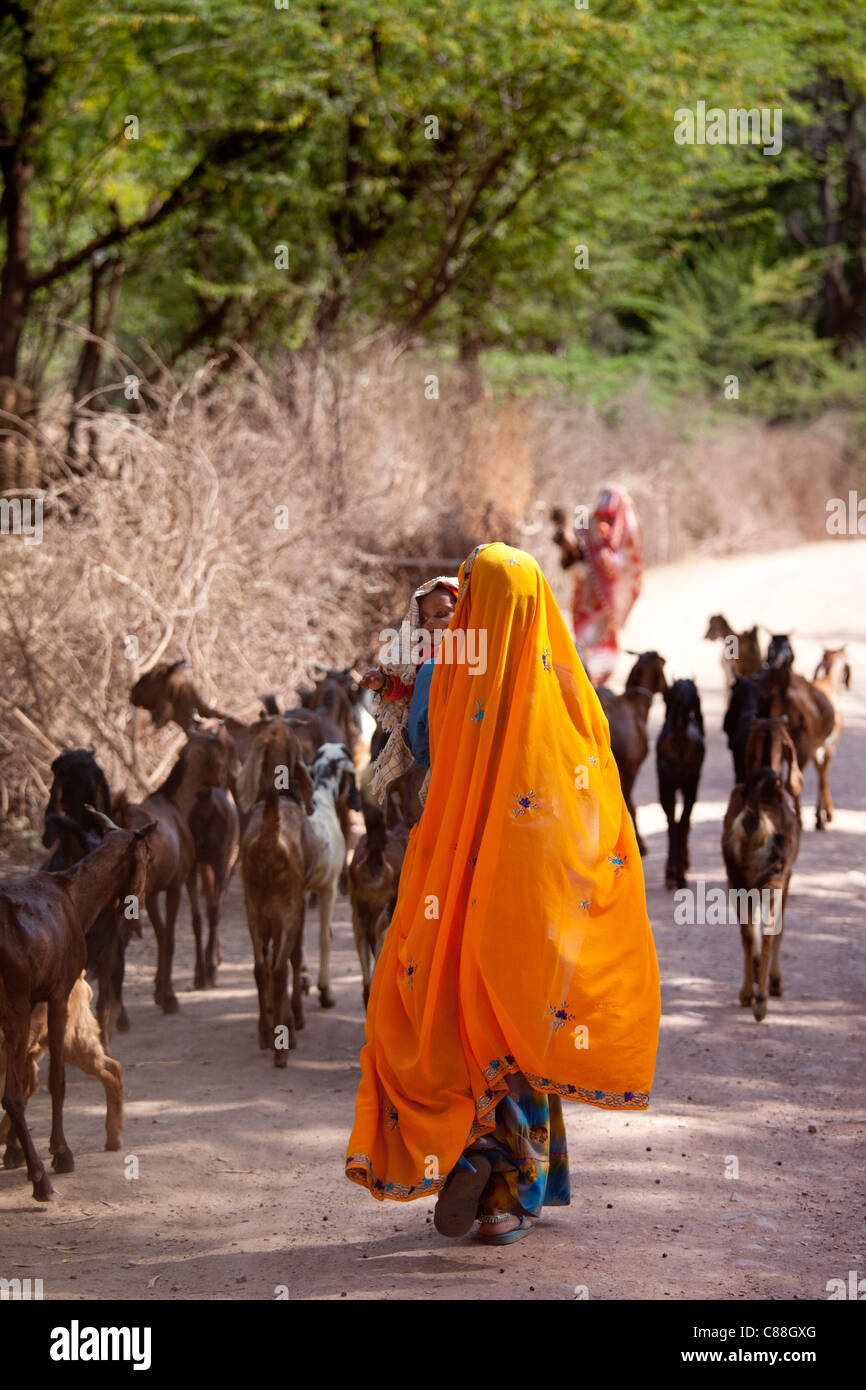 Indische Dorfbewohner mit Ziegenherde im Dorf in der Nähe von Ranthambore in Rajasthan, Nordindien Stockfoto