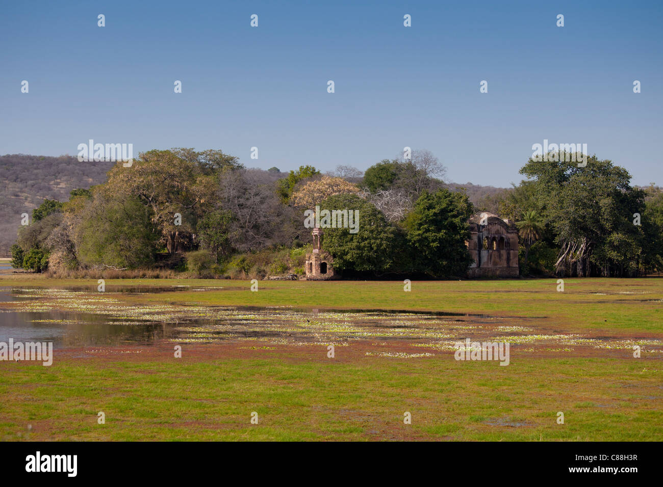 Rajbagh See und Maharadschas von Jaipur Jagdschloss in Ranthambhore National Park, Rajasthan, Nordindien Stockfoto