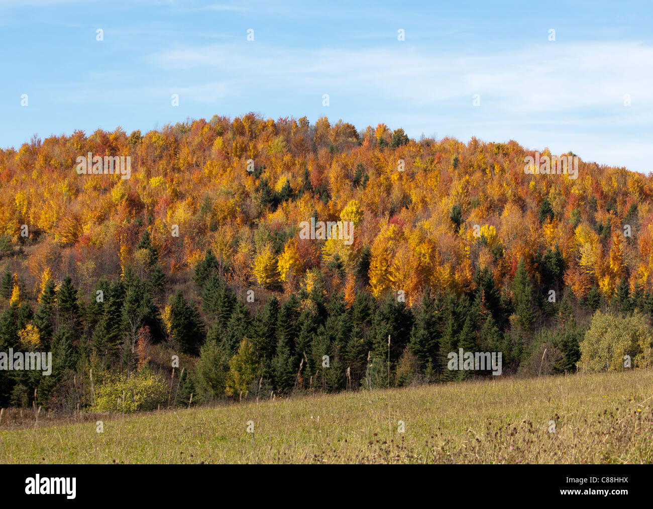 Herbst in den Bergen von New Hampshire USA Amerika. Stockfoto