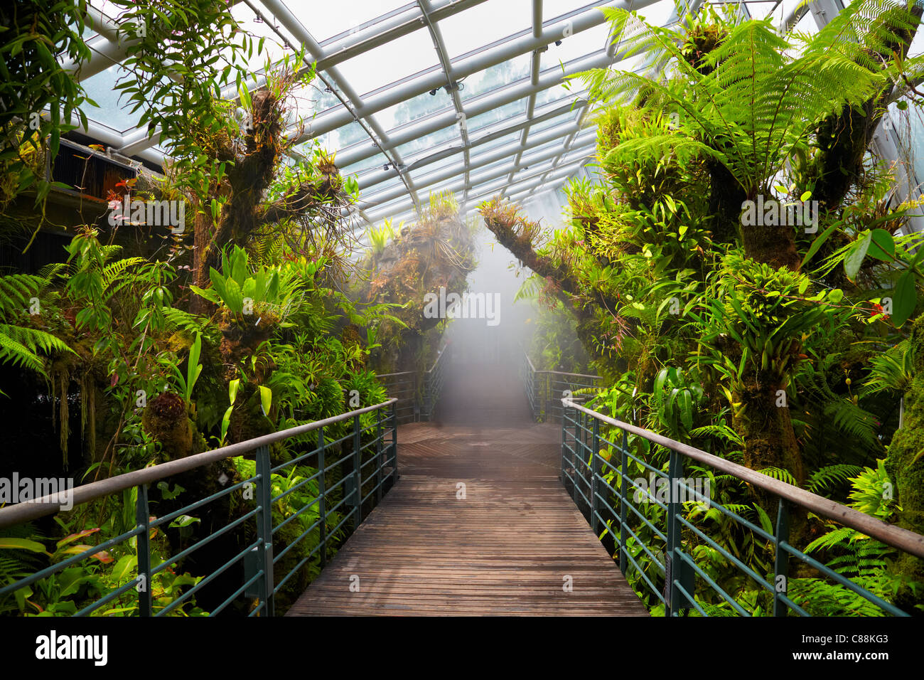 Coolhouse, National Orchid Garden, Singapore Botanic Gardens Stockfoto