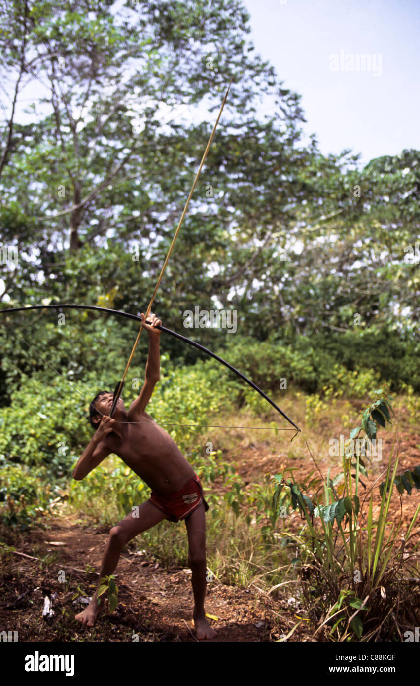Bundesstaat Roraima, Brasilien; Yanomami Junge üben mit Pfeil und Bogen in den Regenwald. Stockfoto