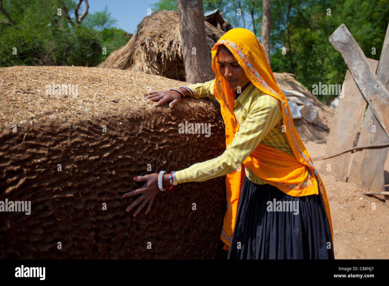 Indische Frau Dorfbewohner tätschelte Kuh Dung Hügel zum Kochen Kraftstoff im Kutalpura Dorf in Rajasthan, Nordindien Stockfoto