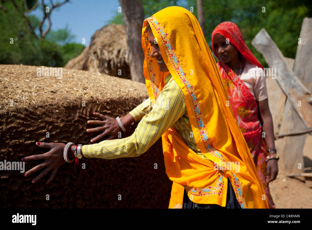 Indische Frau Dorfbewohner tätschelte Kuh Dung Hügel zum Kochen Kraftstoff im Kutalpura Dorf in Rajasthan, Nordindien Stockfoto