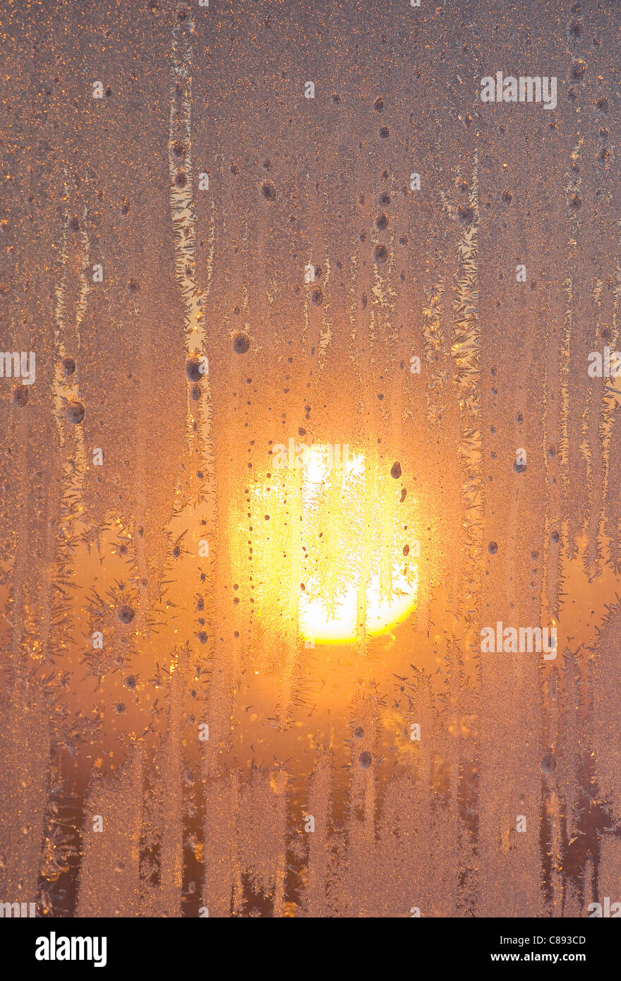 Frost im Winter Fenster in der Morgendämmerung, 40 unter dem Gefrierpunkt, Nordwest-Territorien, Kanada Stockfoto