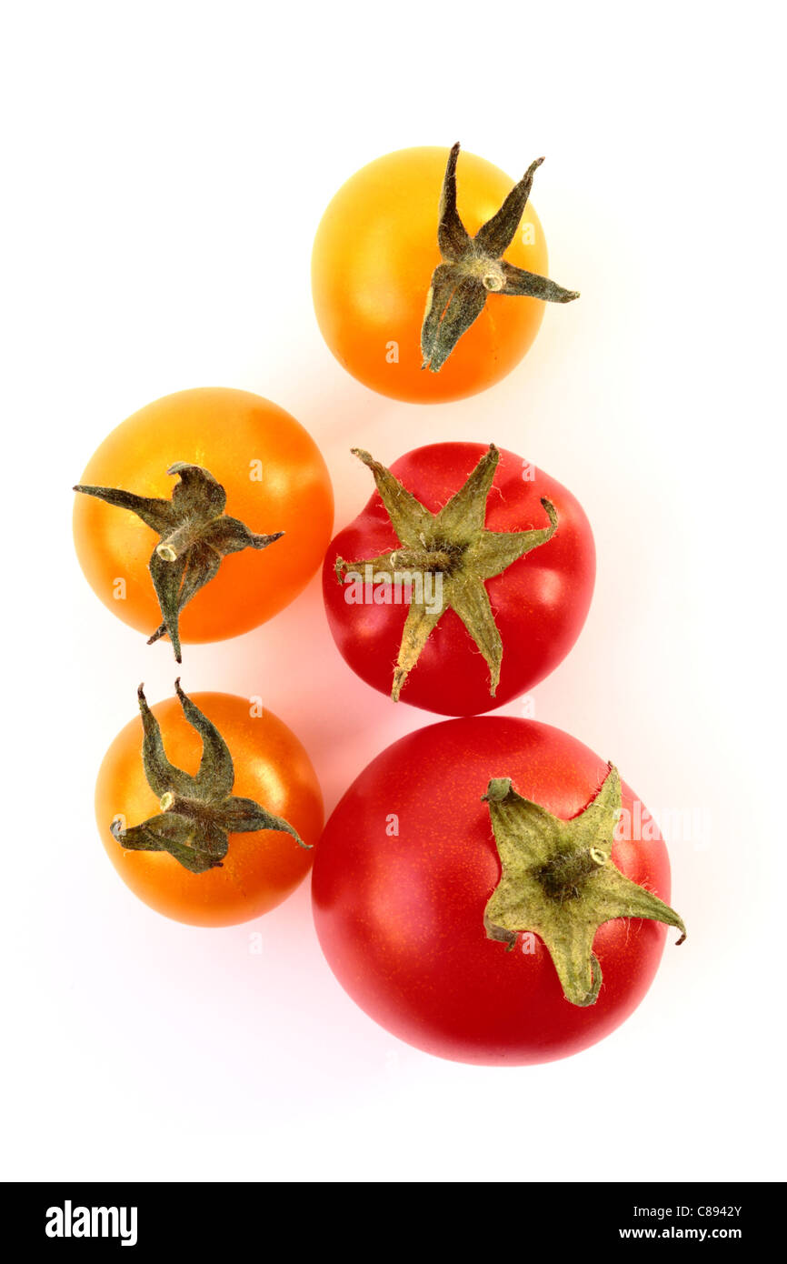 Gelbe und rote Tomaten auf einem weißen Hintergrund. Stockfoto