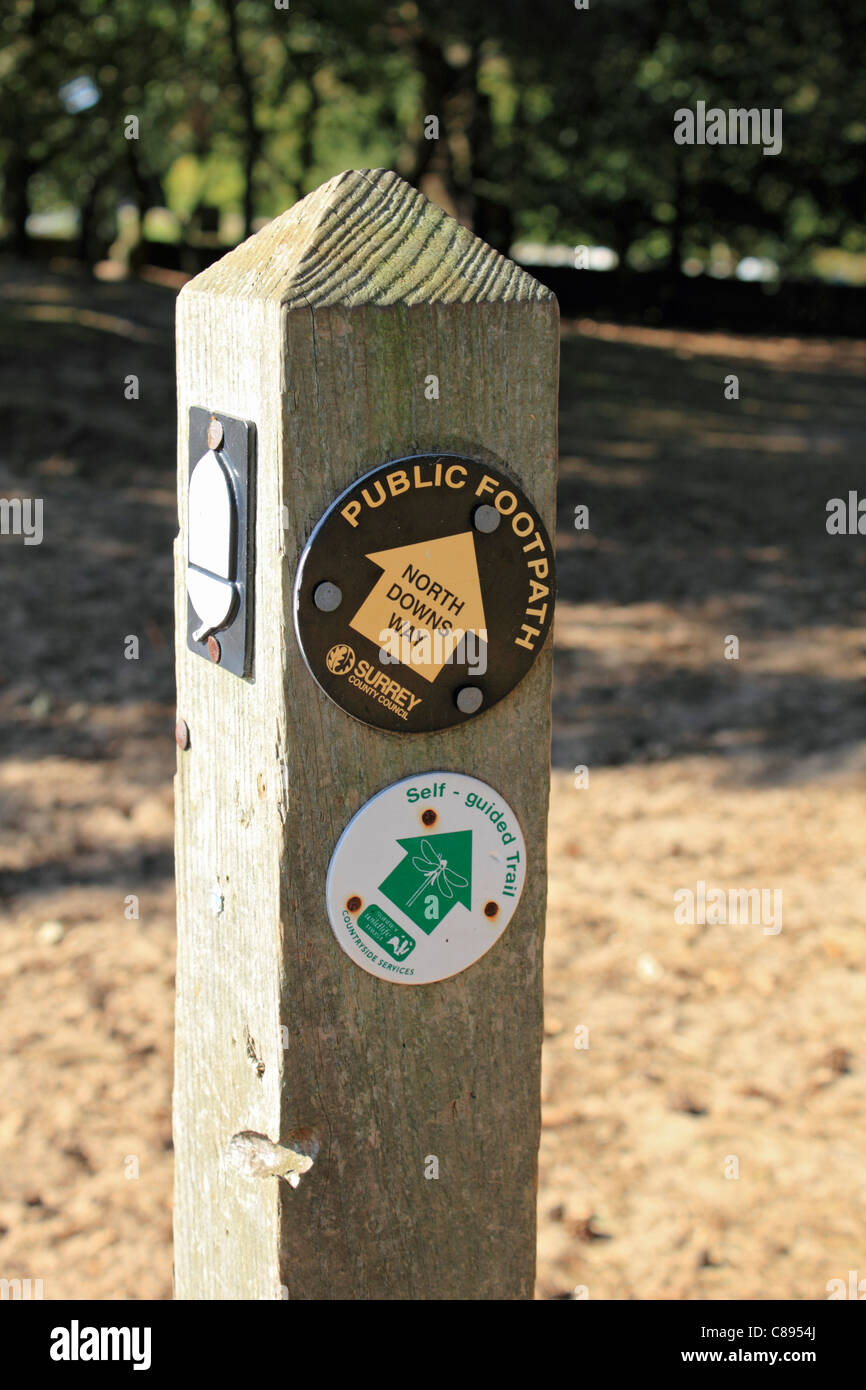 Öffentlichen Fußweg auf den North Downs Way und Self Guided Trail Schildern in St. Martha Hill. Guildford Surrey England UK. Stockfoto