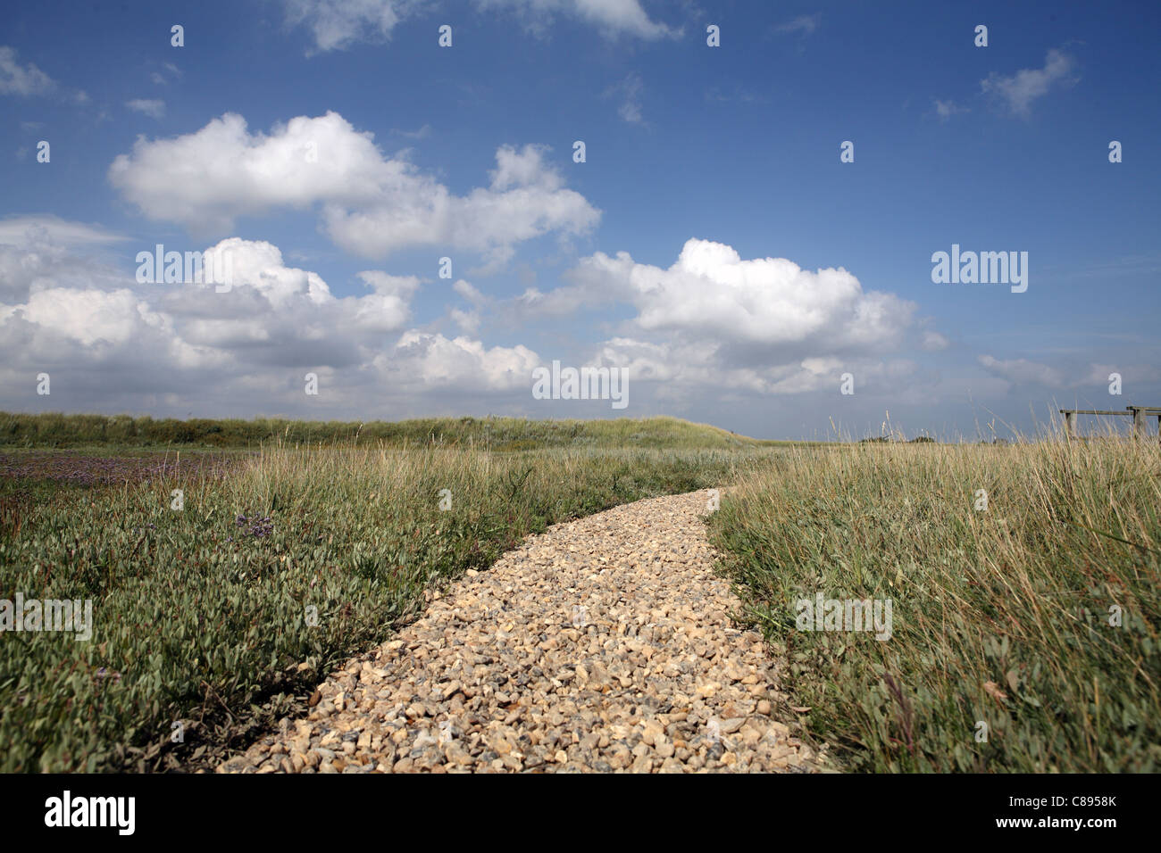 Schindel Weg weiter zum Fluchtpunkt am Horizont, RSBP Vogelschutzgebiet, Havergate Insel, Suffolk, UK Stockfoto