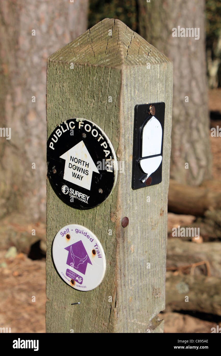 Öffentlichen Fußweg auf den North Downs Way und Self Guided Trail Schildern in St. Martha Hill. Guildford Surrey England UK. Stockfoto