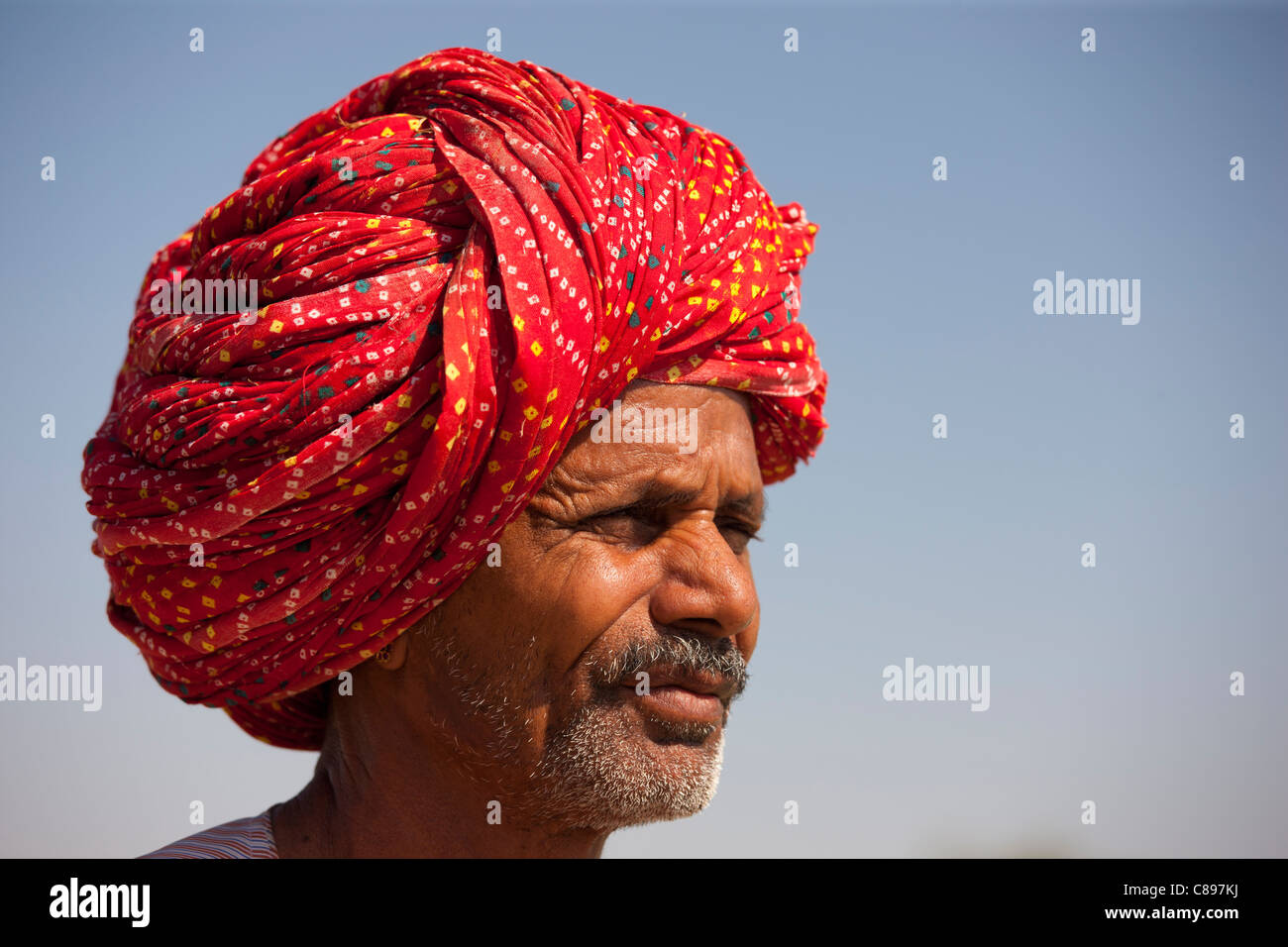 Rajasthani Bauer mit traditionellen Rajasthani Turban am Nimaj, Rajasthan, Nordindien Stockfoto