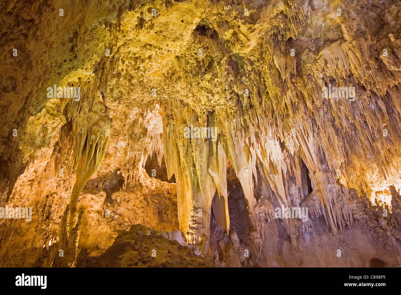 Carlsbad Caverns National Park in New Mexico Stockfoto