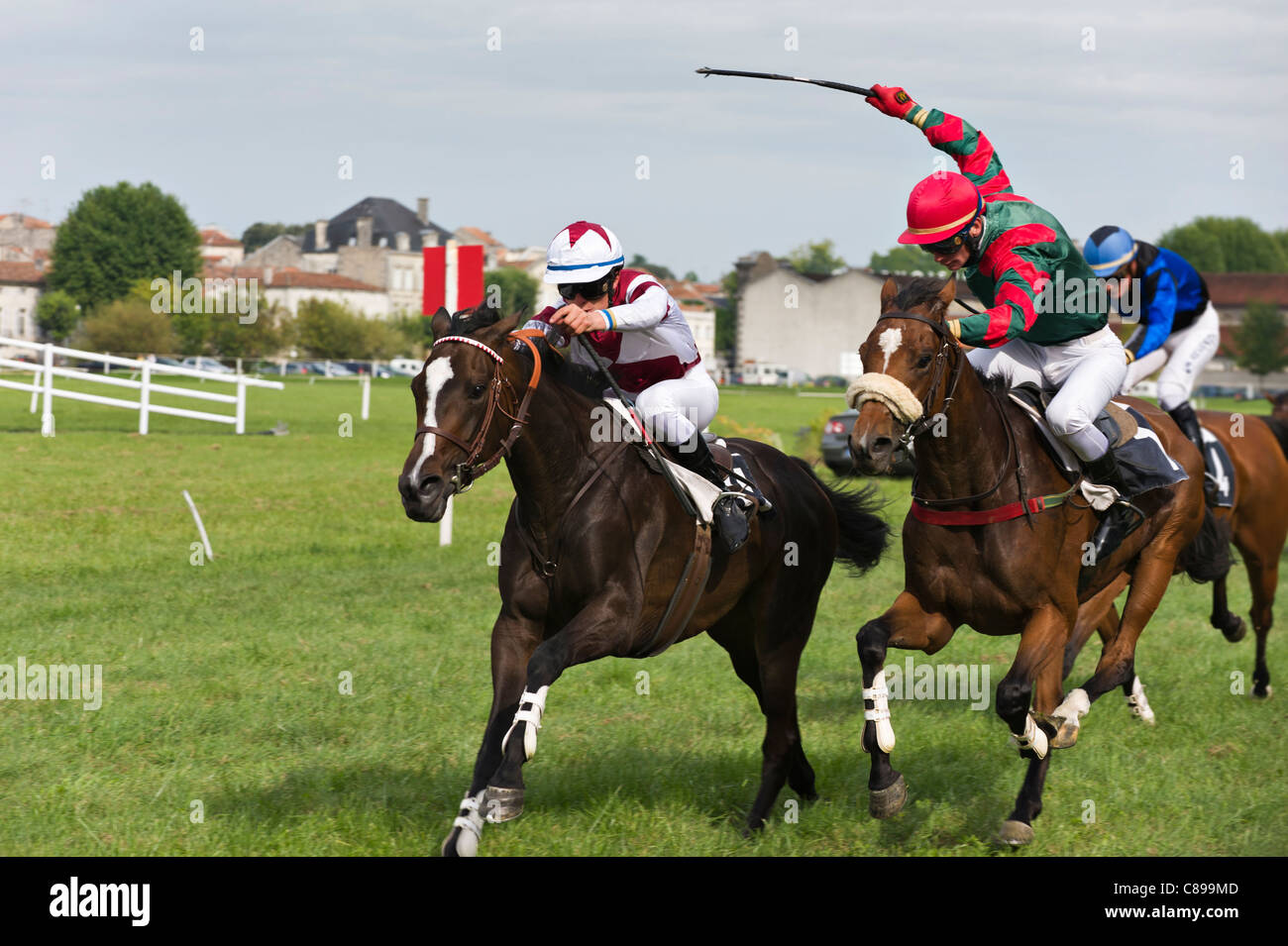 Pferderennen in Jarnac, Charente, Frankreich Stockfoto