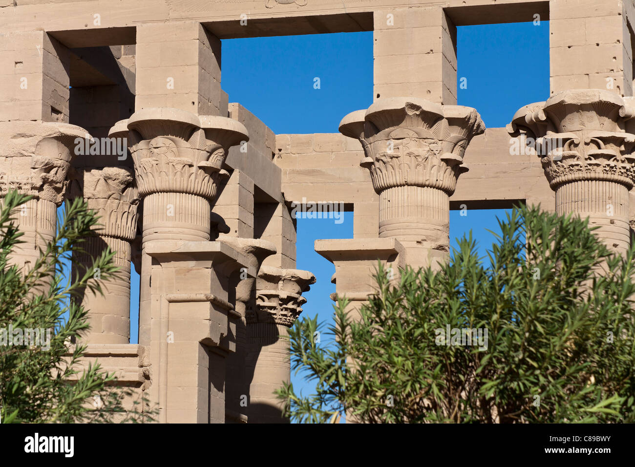 Spalte Tops im Kiosk des Kaisers Trajan, Tempel der Isis in Philae, Aglika Island Aswan Oberägypten Stockfoto