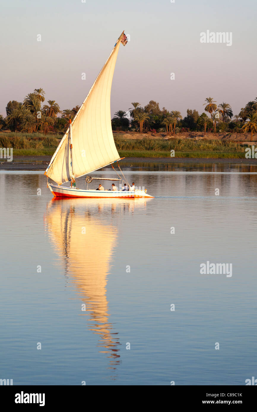 Nil Abfahrt Segeln von rechts nach links spiegelt sich auf sehr ruhigem Wasser mit Palmen und Bäumen gesäumten Nil Bank hinter Stockfoto