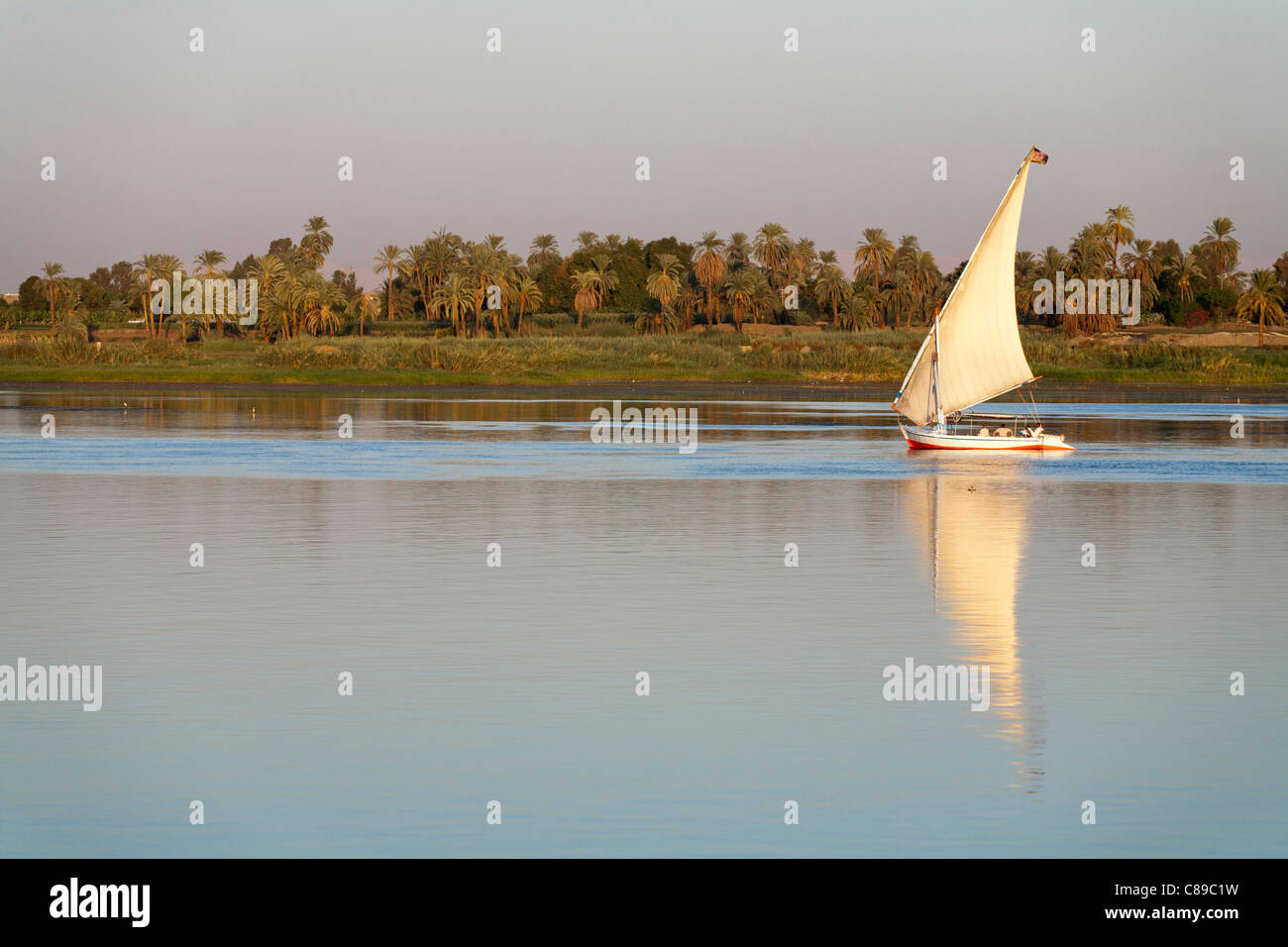 Nil Abfahrt Segeln von rechts nach links spiegelt sich auf sehr ruhigem Wasser mit Palmen und Bäumen gesäumten Nil Bank hinter Ägypten Afrika Stockfoto
