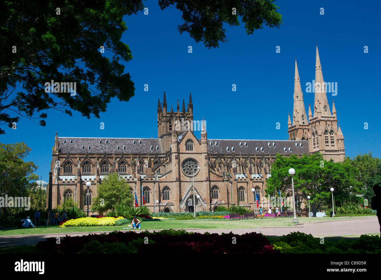 Str. Marys Kathedrale Sydney Australien Stockfoto