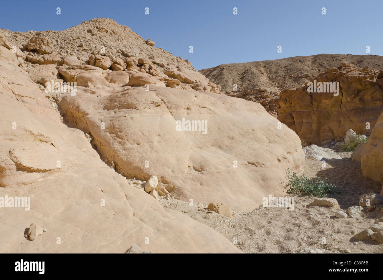 Blick auf eine Wüste Wadi. Timna Park. Arava-Tal. Israel Stockfoto