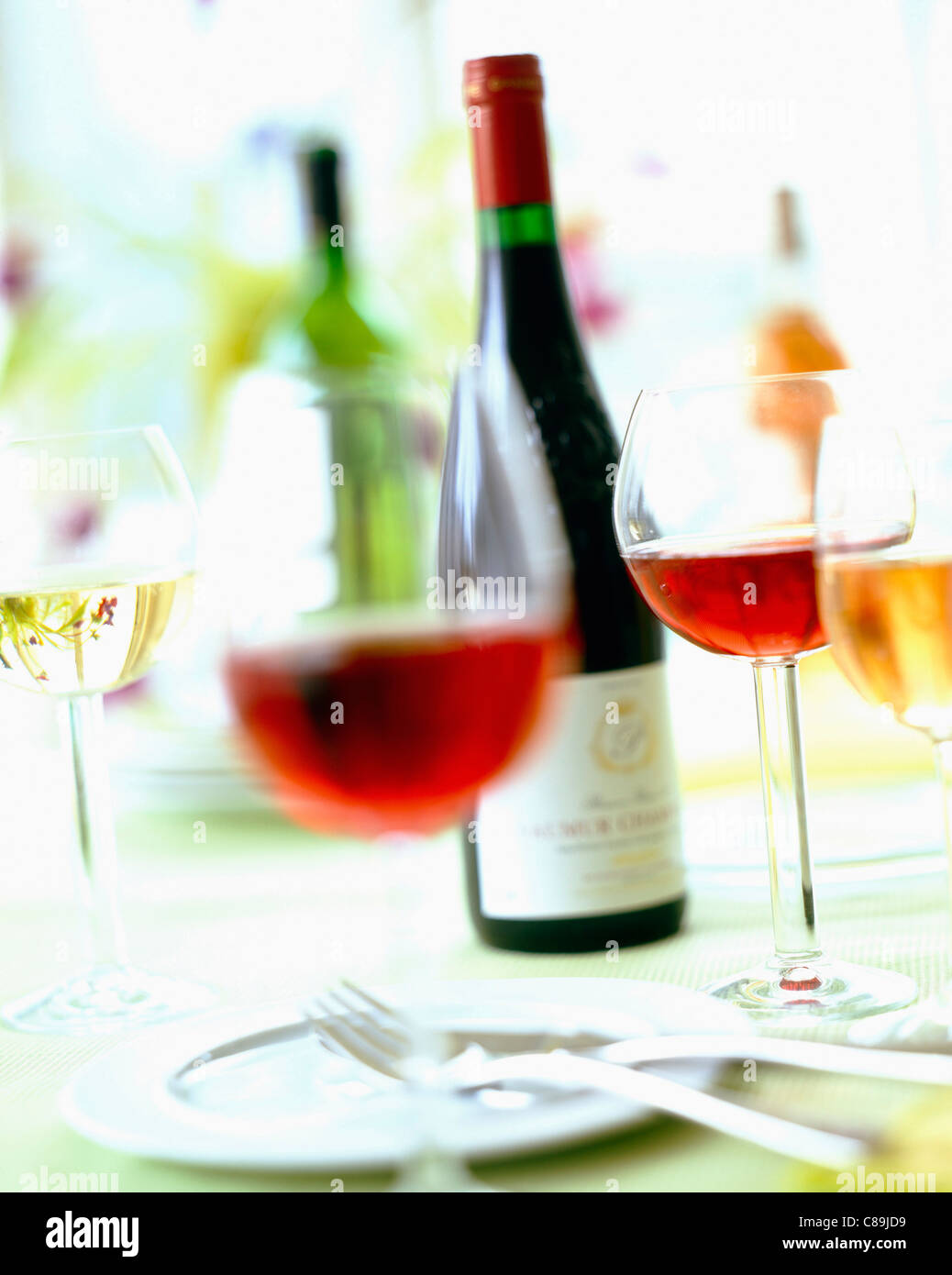Flaschen und Gläser Rot und rosé-Wein Stockfoto
