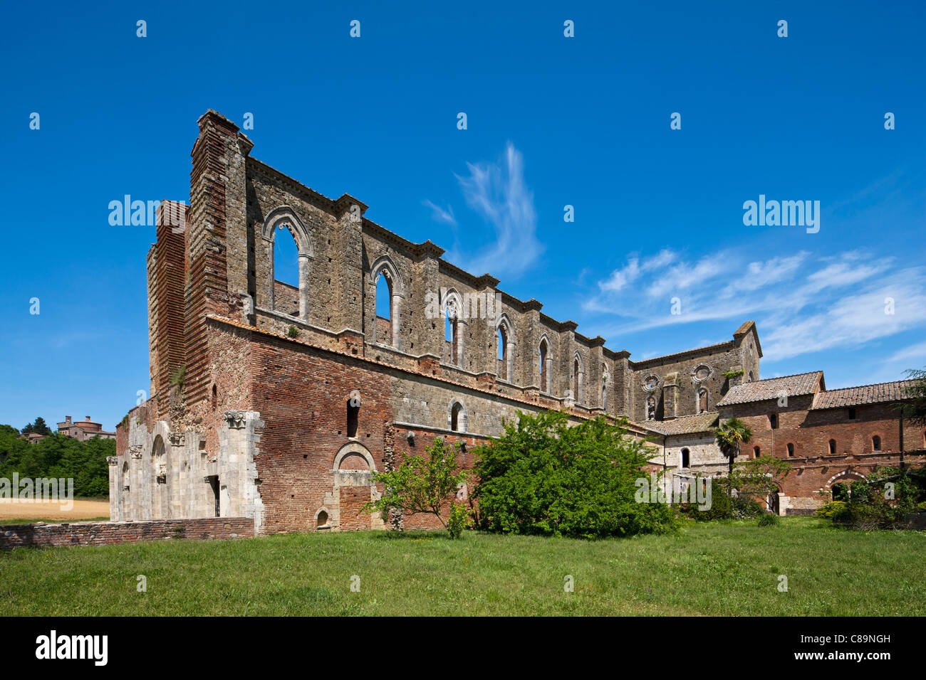 Italien, Toskana, Blick von Abbazia San Galgano Ruinen Stockfoto