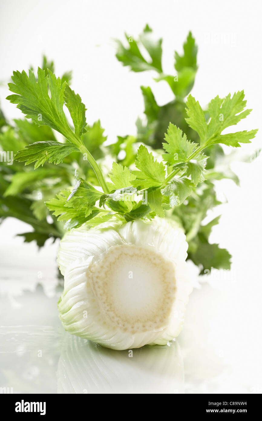 Stangen sellerie -Fotos und -Bildmaterial in hoher Auflösung – Alamy Stangen sellerie -Fotos und -Bildmaterial in hoher Auflösung – Alamy