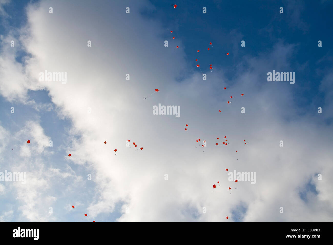 Deutschland, rotes Herz Form Luftballons mit Botschaften im Himmel Stockfoto