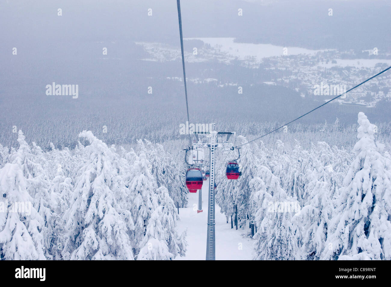 Deutschland, Braunlage, Seilbahnen über Schnee bedeckt Wald Stockfoto
