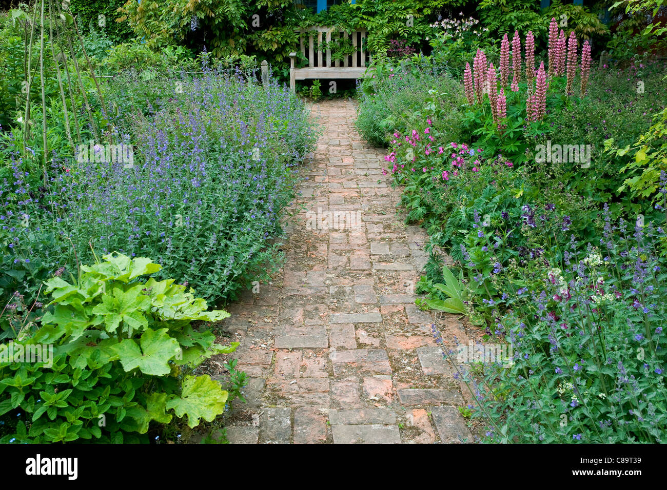 English cottage garden Fotos und Bildmaterial in hoher Auflösung Alamy
