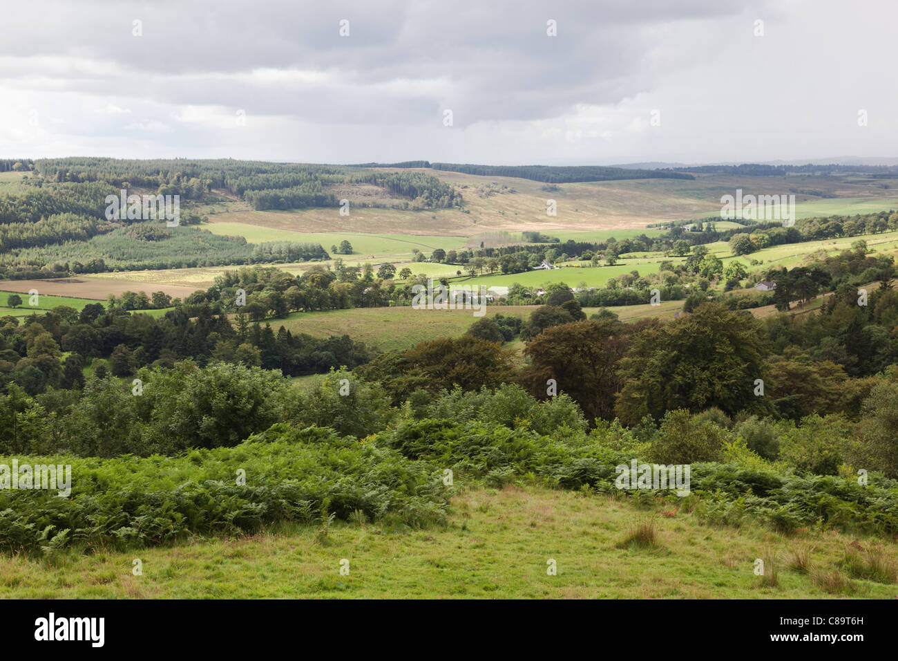 Campsie Fells in der Nähe von Strathblane und Netherton in Schottland, Großbritannien Stockfoto