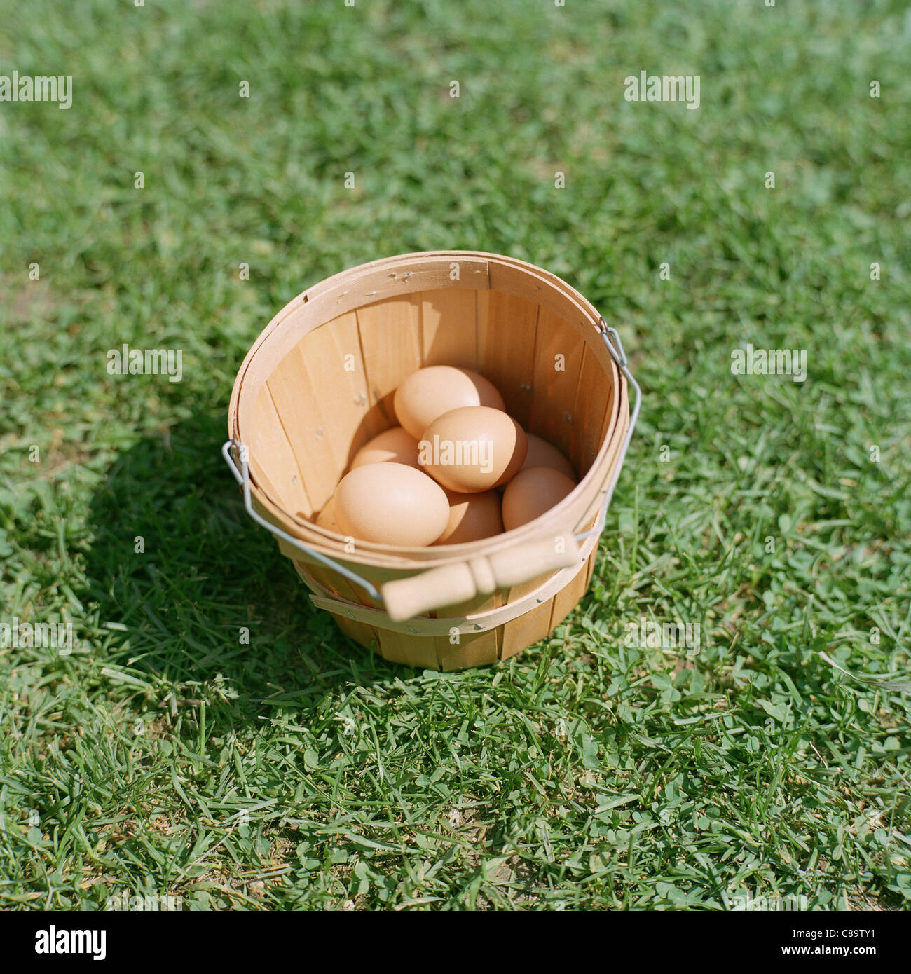 Eiern in einem Korb Stockfoto