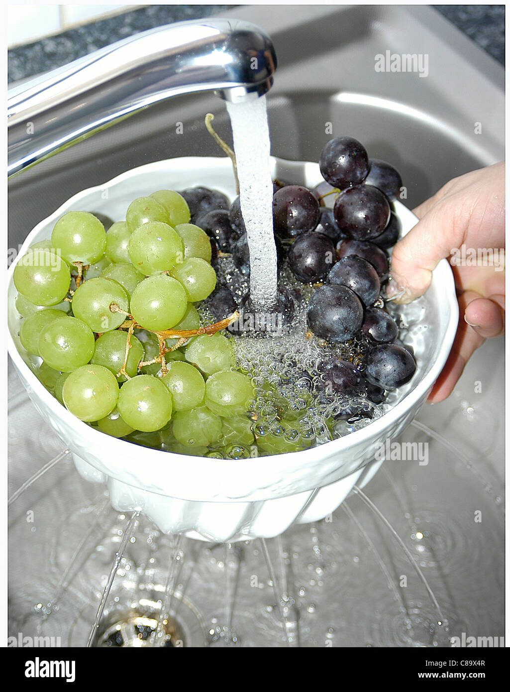 Trauben unter fließendem Wasser waschen Stockfotografie - Alamy