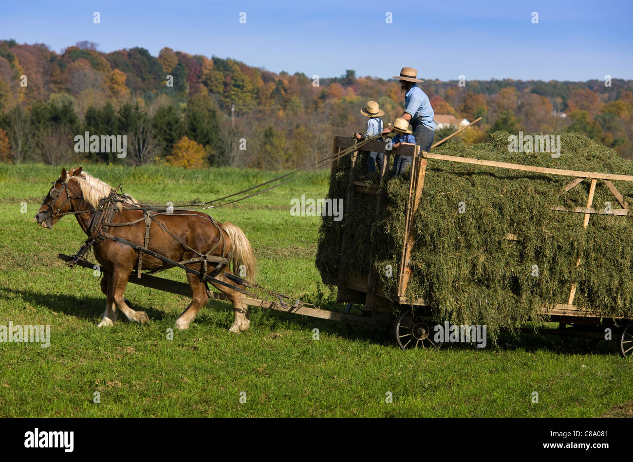 Amish boys -Fotos und -Bildmaterial in hoher Auflösung – Alamy