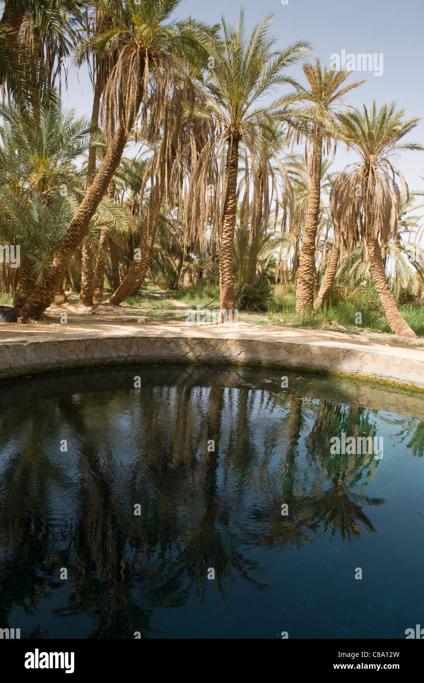 Thermalbad in der Oase Siwa in Ägypten Stockfoto