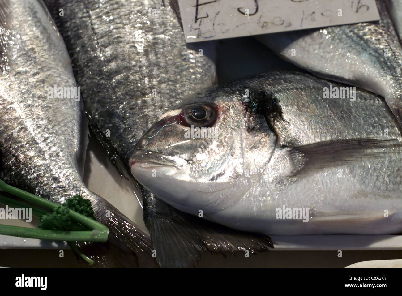 Dorade am frühen Morgen Anzeigen von Fisch bei Sid Fismongers in Brighton Open Market Stockfoto