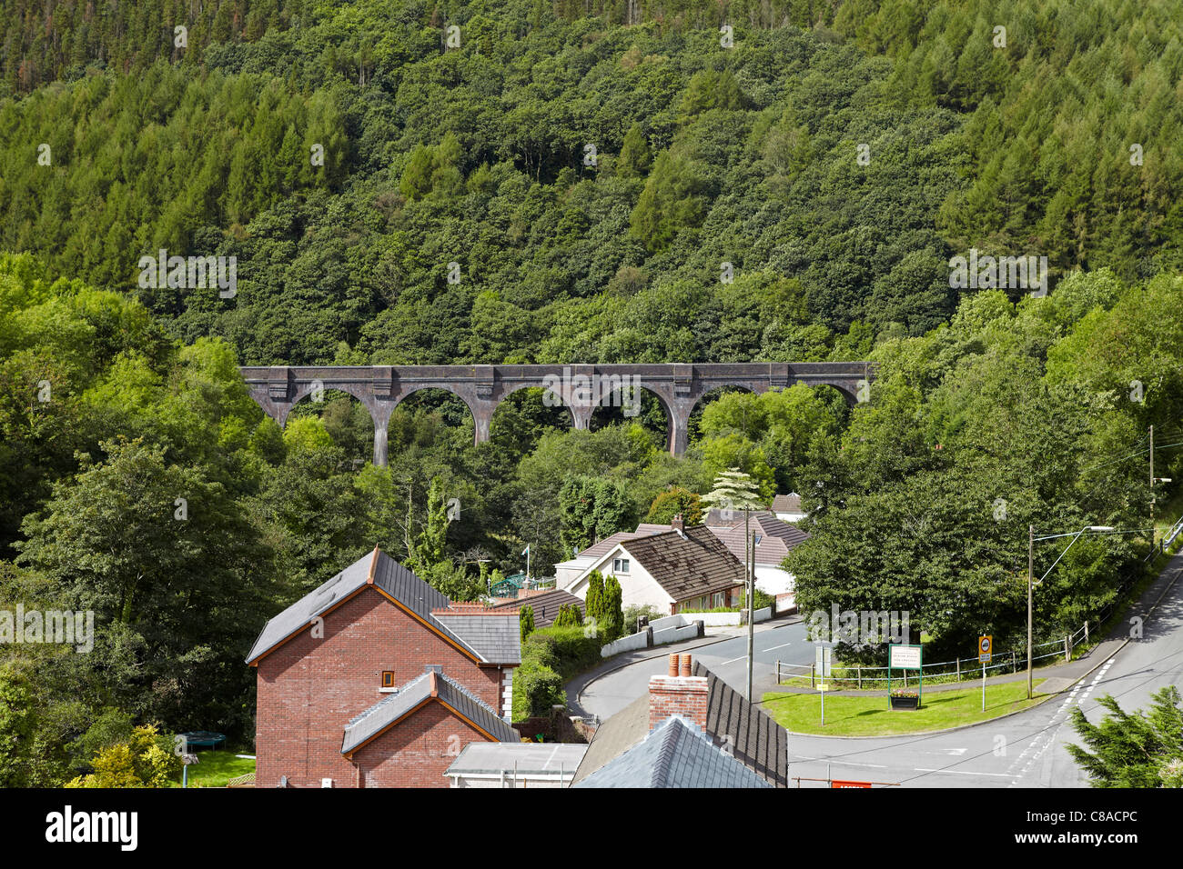 Viadukt über das Dorf Pontrhydyfen, Port Talbot, Wales, UK Stockfoto