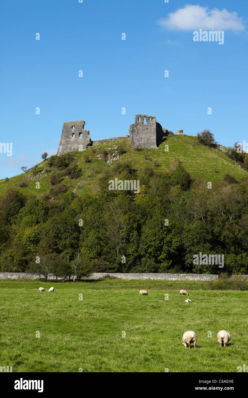 Dryslwyn Burg, Carmarthenshire, Wales, UK Stockfoto