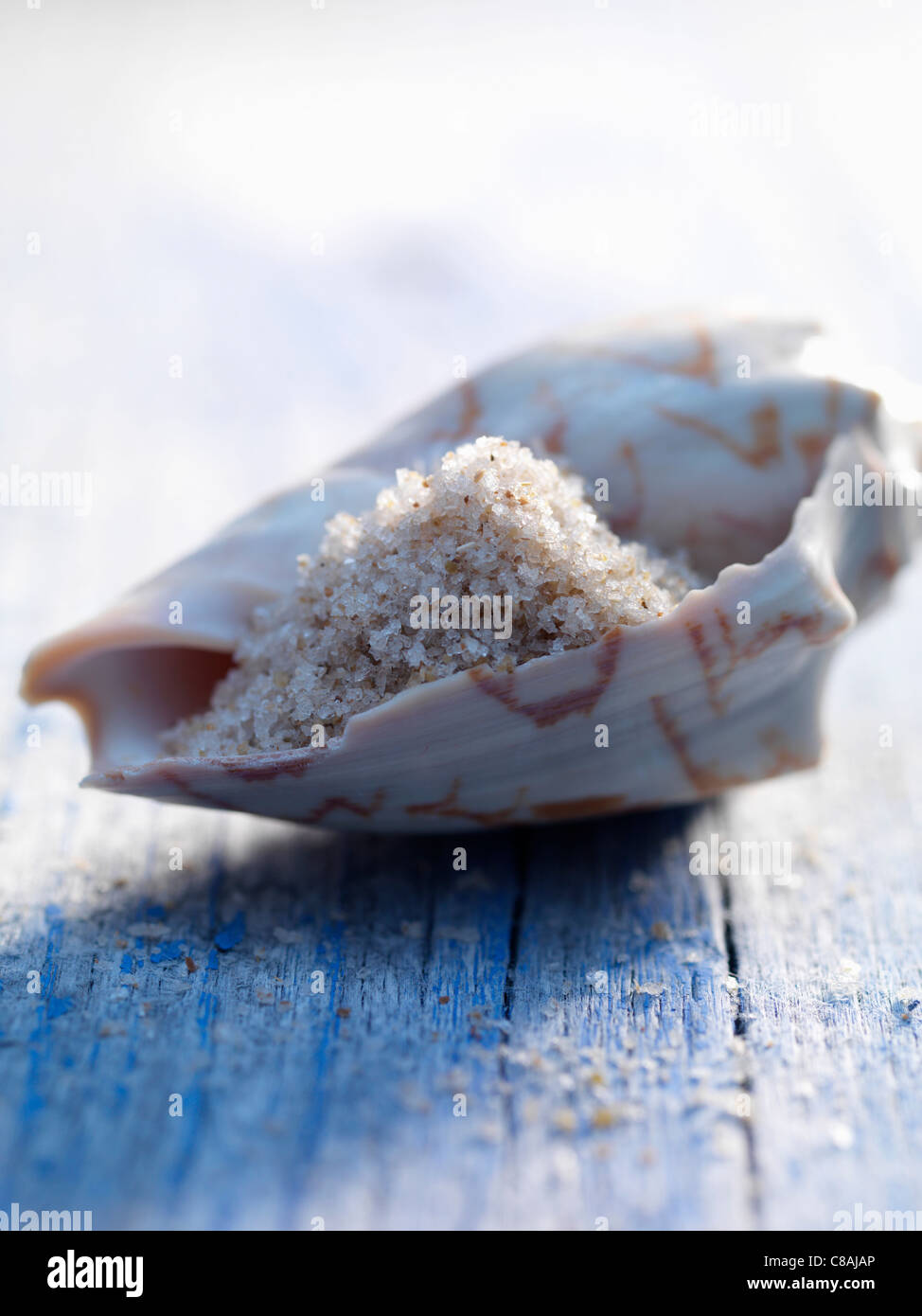 Meersalz in einer shell Stockfoto